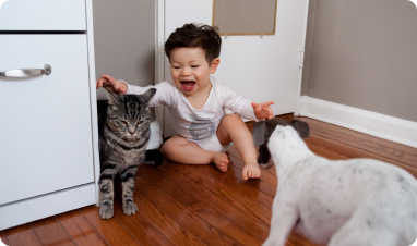 Hardwood Flooring 6 Acrylic Impregnated Hardwood Image