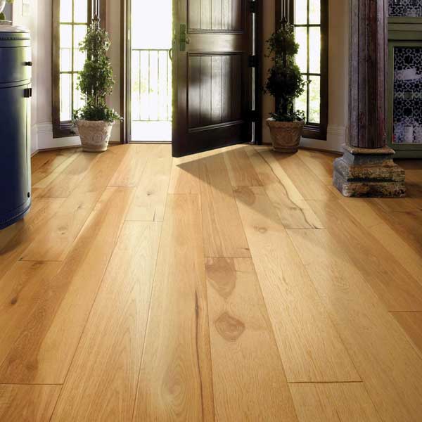 For Our Professionals section image