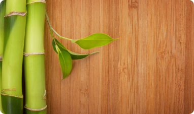 Green & Eco Friendly Flooring Image