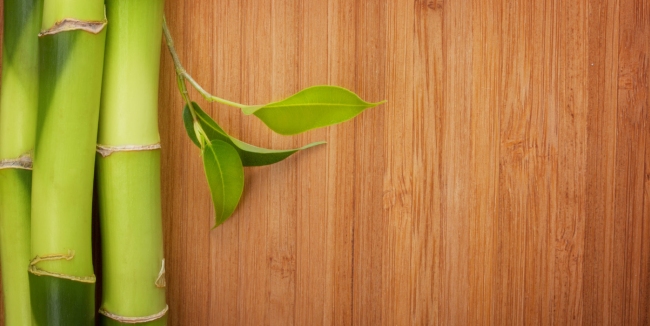Flooring Types 6 Green & Eco Friendly Flooring New Image