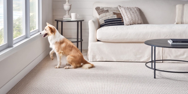 Flooring Types 7 Pet Friendly Flooring New Image