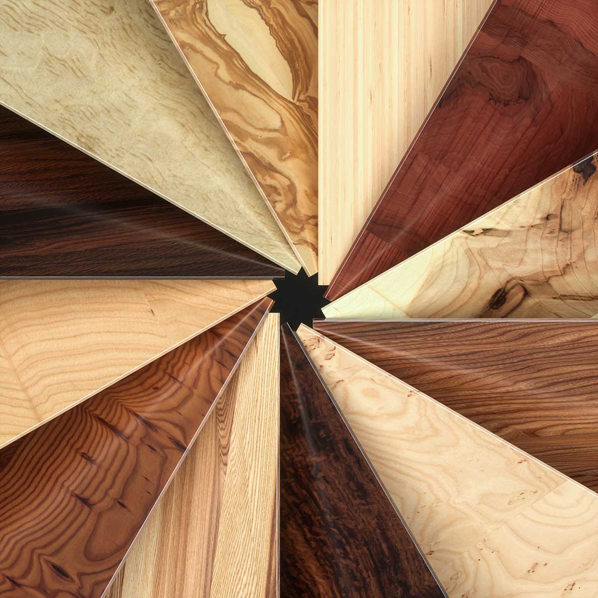 Species wood image