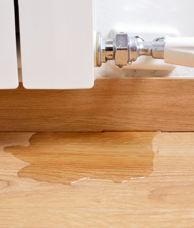 Water Damage on Hardwood Floors Image